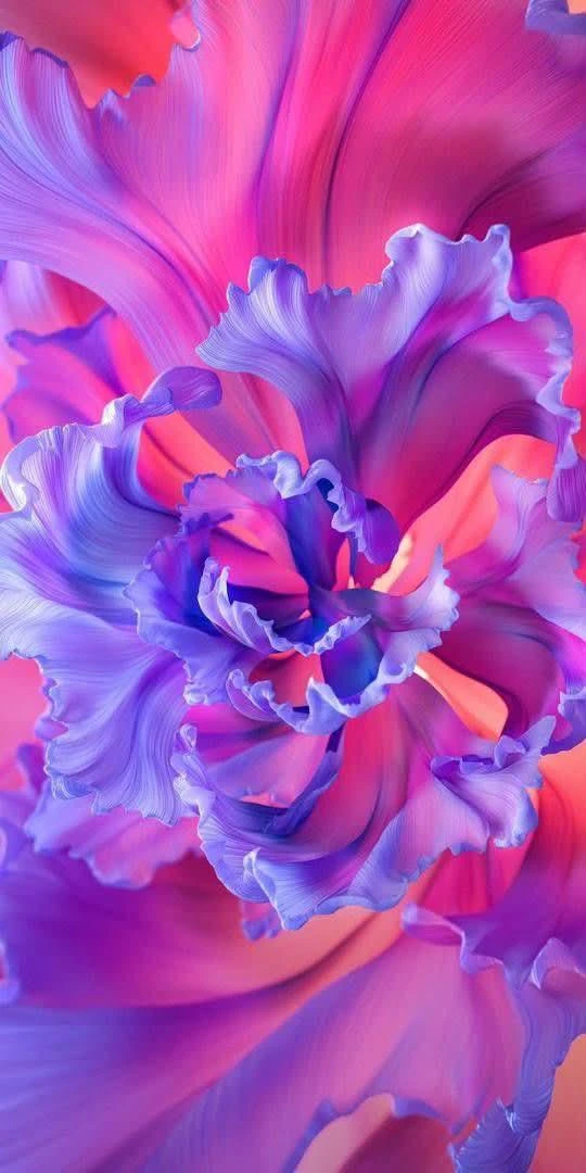 💕🌸💕