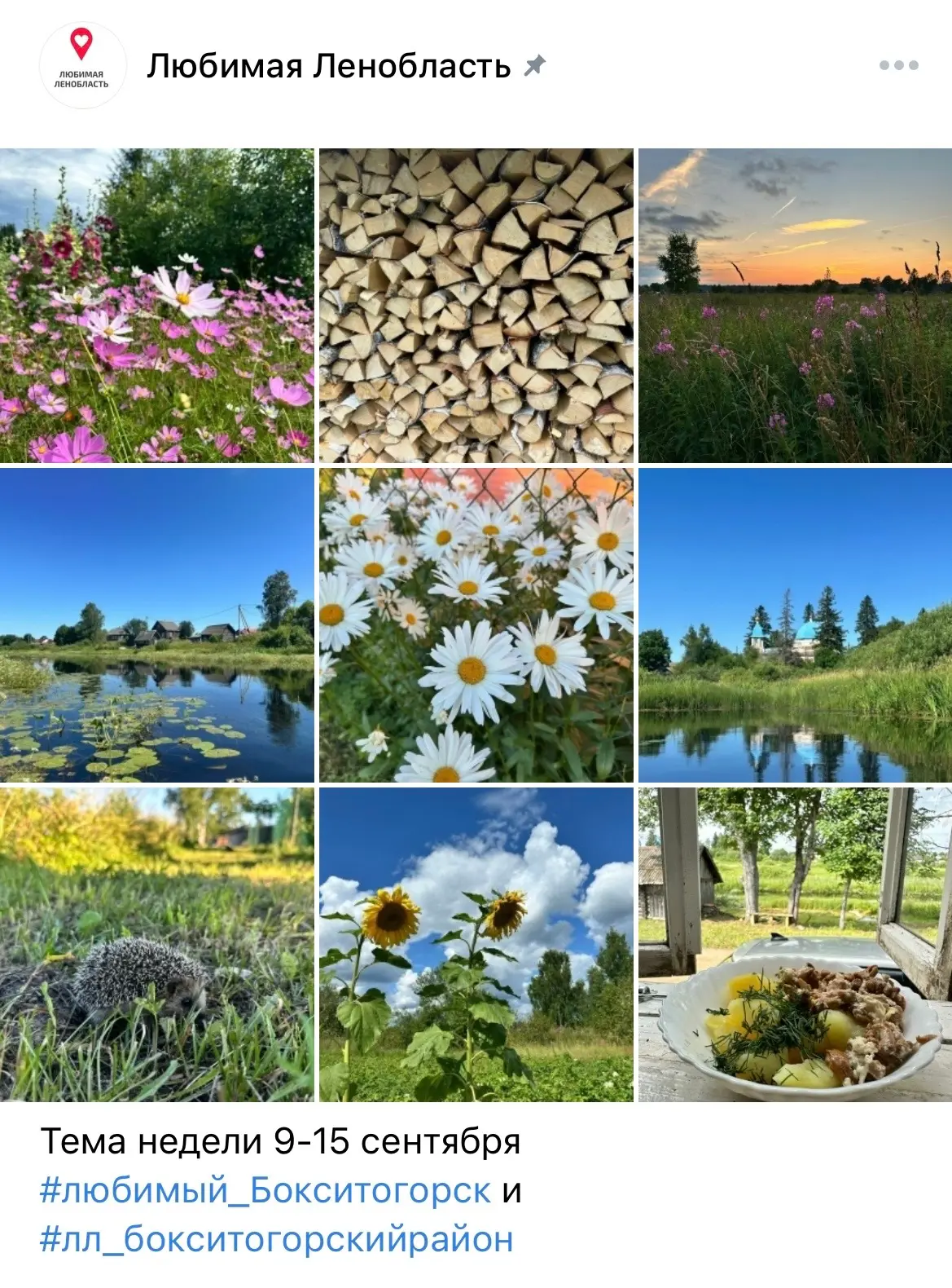 Тема недели 9-15 сентября #любимый_Бокситогорск и #лл_бокситогорскийрайон