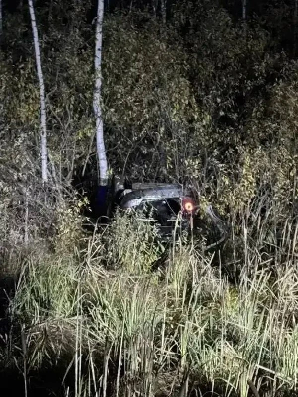 5 октября около 21 часа на 9-м километре автодороги «Камаевка - Асино - Первомайское» п...