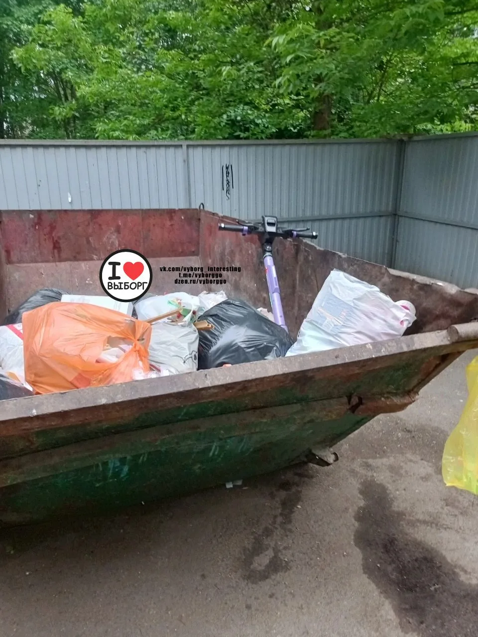 В лесу видела, на обочине тоже,но чтоб сразу в мусорку закинули впервые 😄