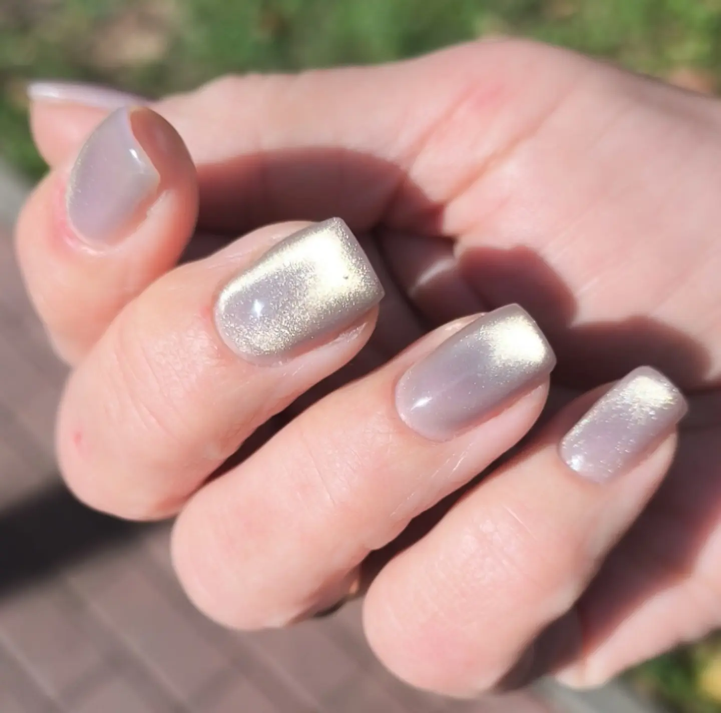 Кошечка на солнышке 🌞