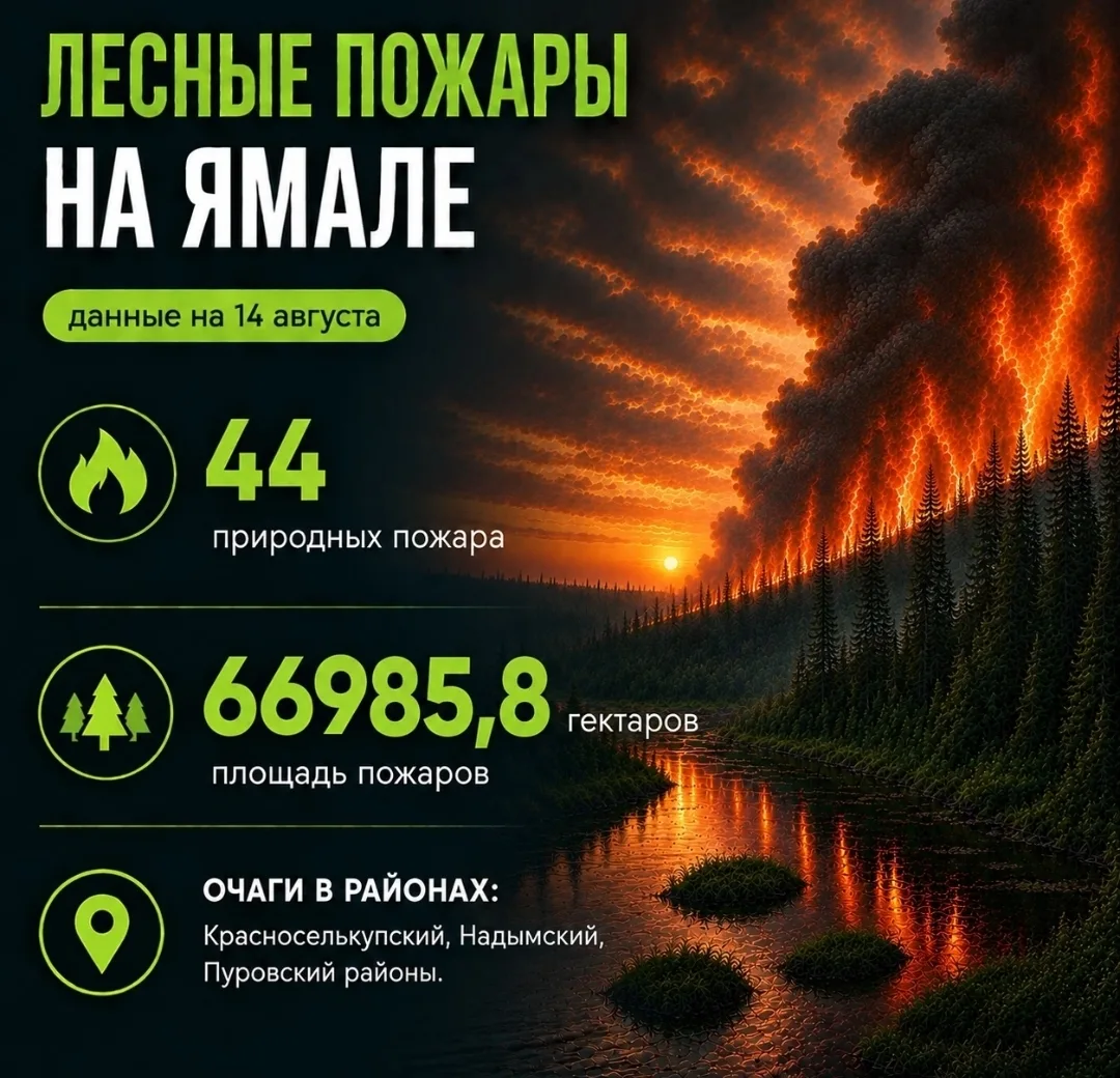 ⚡Данные по пожарам в ЯНАО на 14 августа. К сожалению, площадь увеличивается 😰