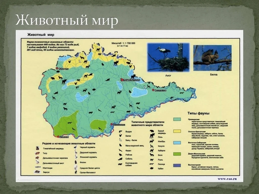 Знатоки природы 🌿

Очередной день на летней площадке прошёл не только весело, но и очень познавател
