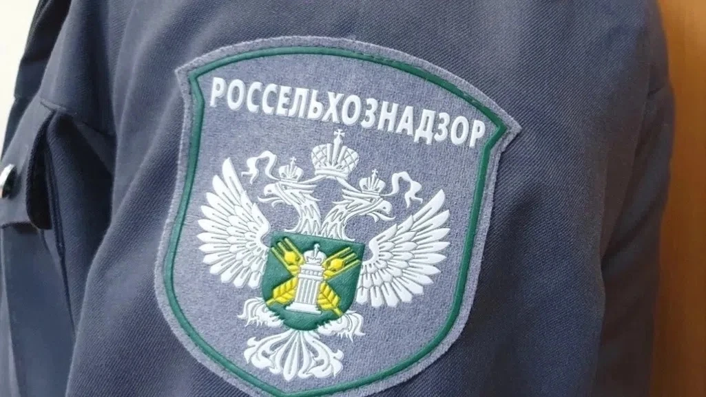 ✅В июне 2026 года сотрудниками Управления Россельхознадзора по Амурской области и Респу...