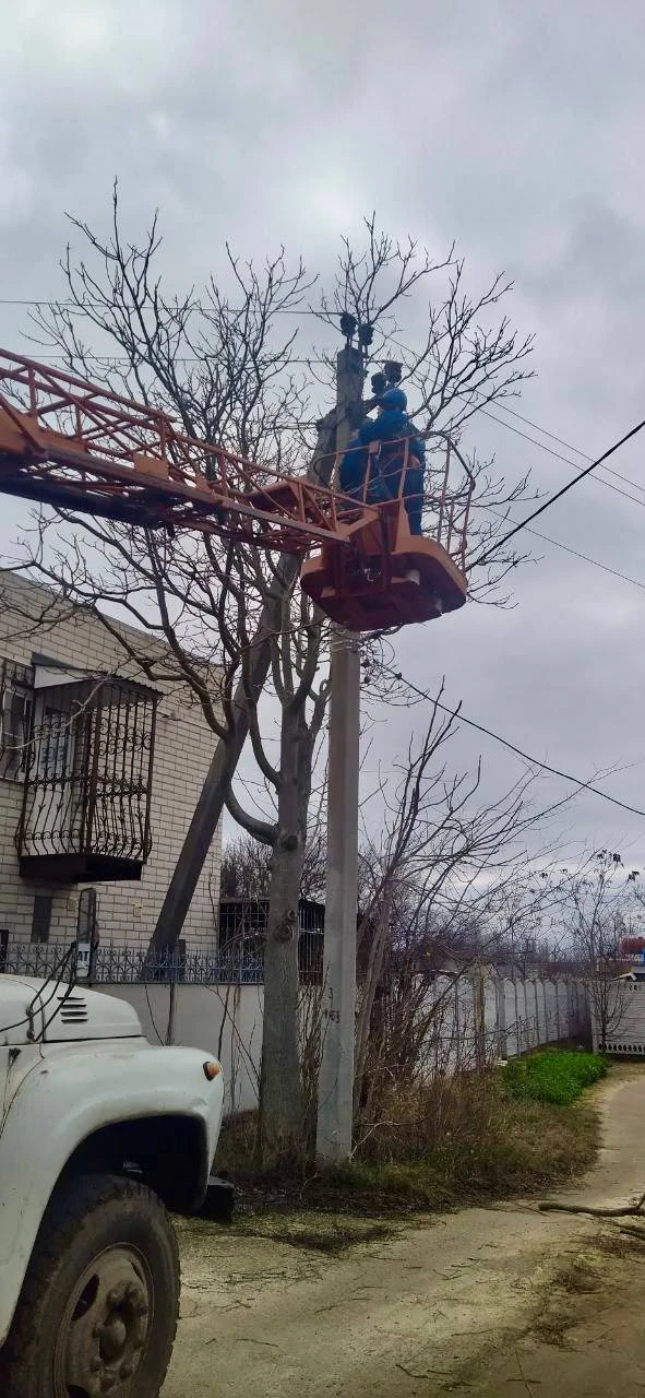 🌳 Акимовский и Розовский районы — профилактика сетей  В Акимовском районе энергетики «Запорожьеэнерг