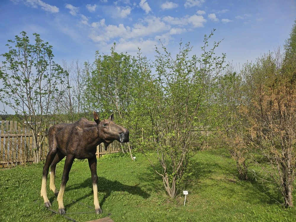 Наша коллекция фигур животных.