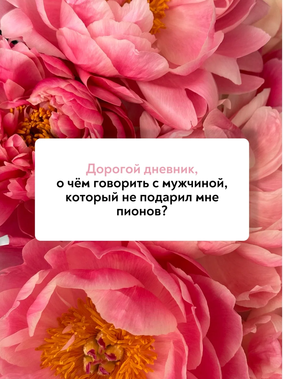 Если твой любимый тоже пропустил этот главный цветочный дедлайн года — перешли ему этот пост. Возмож