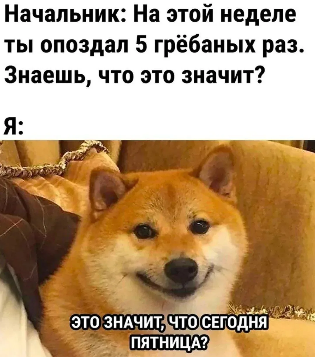 добраутра, махарошие 🩷🧡