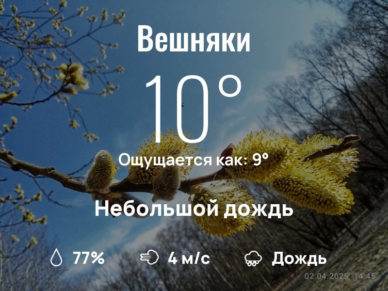 Что с погодой в Вешняках?