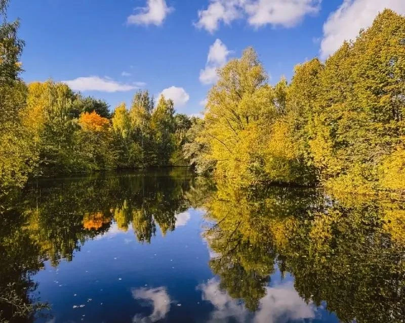 🍂 Осенняя тишина в Серебряном Бору