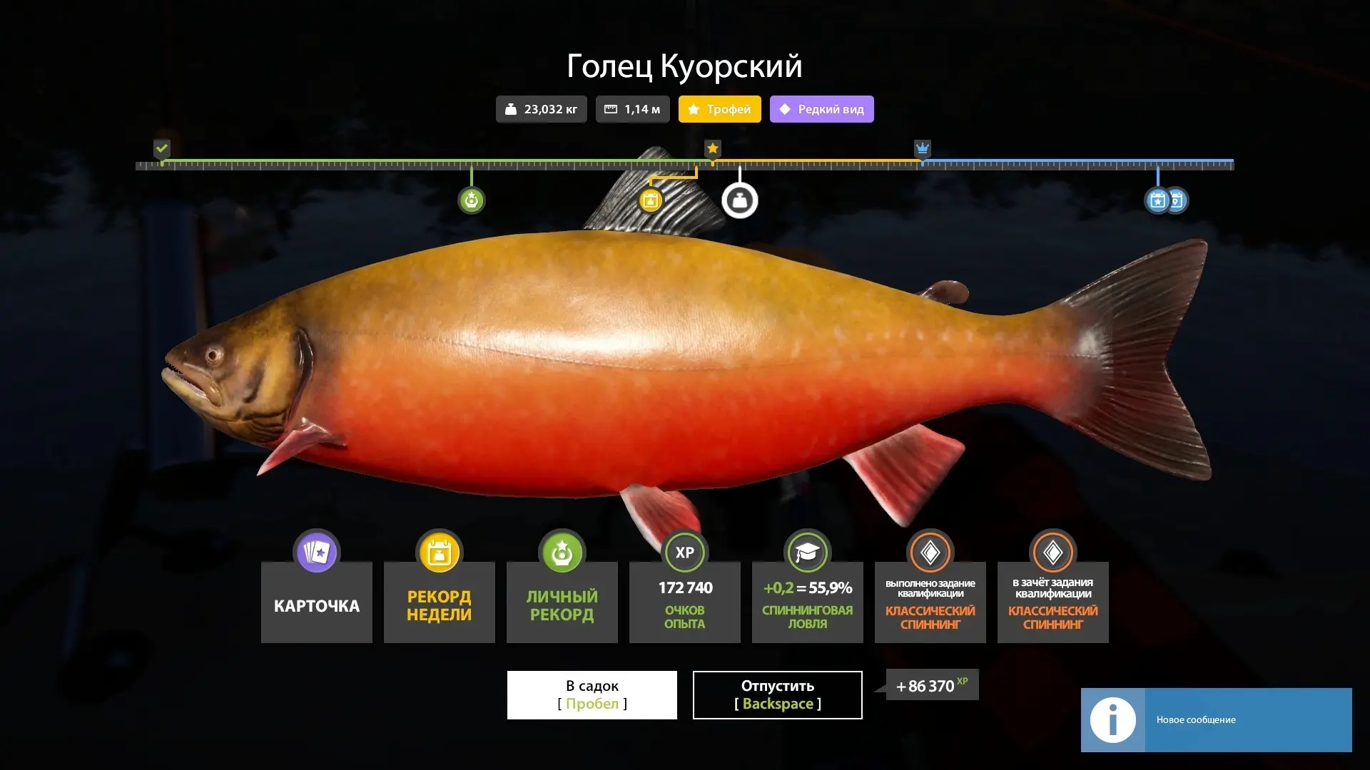 #куори@pp4wikipedia 
🐟 Голец куорский (трофей)
📌 Координаты 105:101
🎣 Троллинг по яме 7.5
📕 Зале