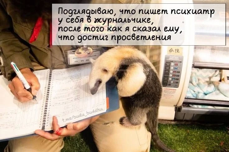 Просветлился! Не пались!