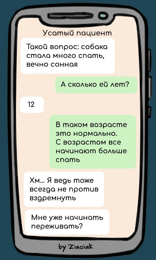 Усы ломит и хвост отваливается 10 смешных переписок с ветеринарным врачом