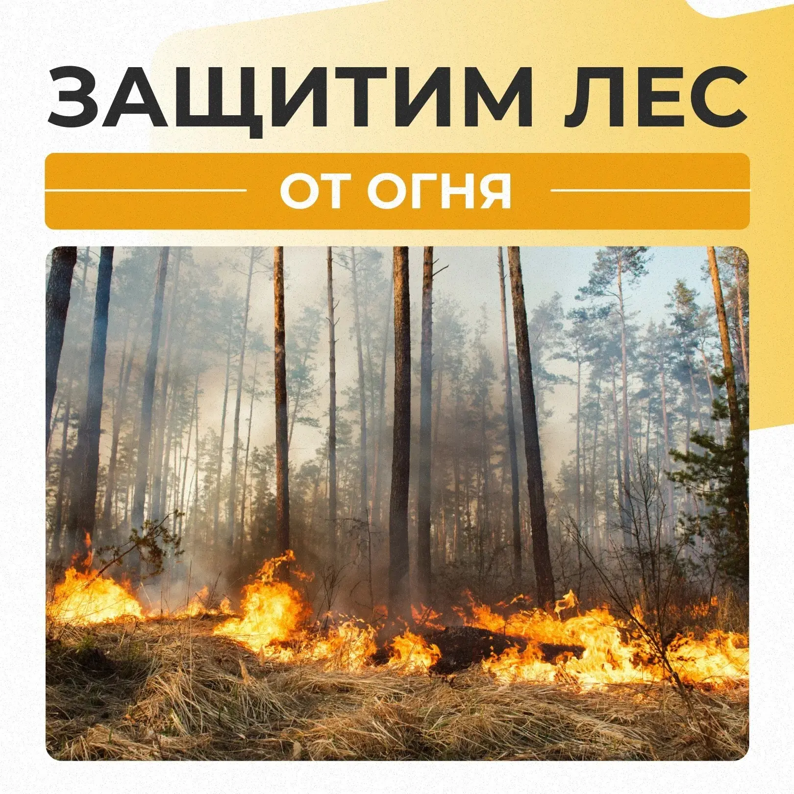 Как избежать возгорания в лесу