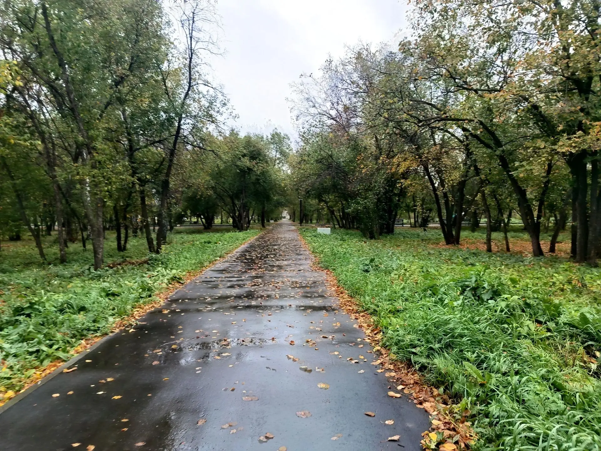 Доброе утро, друзья!