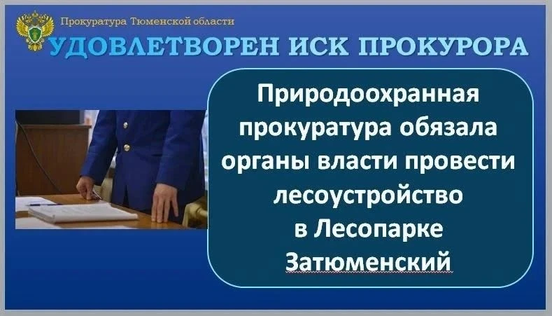 Департамент лесного комплекса обязали заняться лесоустройством в Затюменском