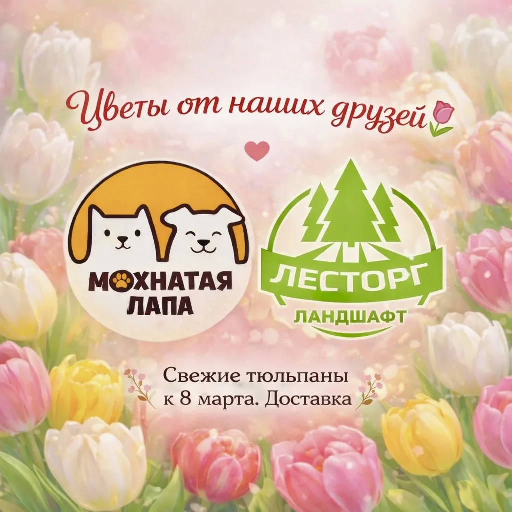 🌷 ТЮЛЬПАНЫ ДЛЯ САМЫХ БЛИЗКИХ

Наши хорошие друзья подготовили к 8 марта самые свежие тюльпаны — неж