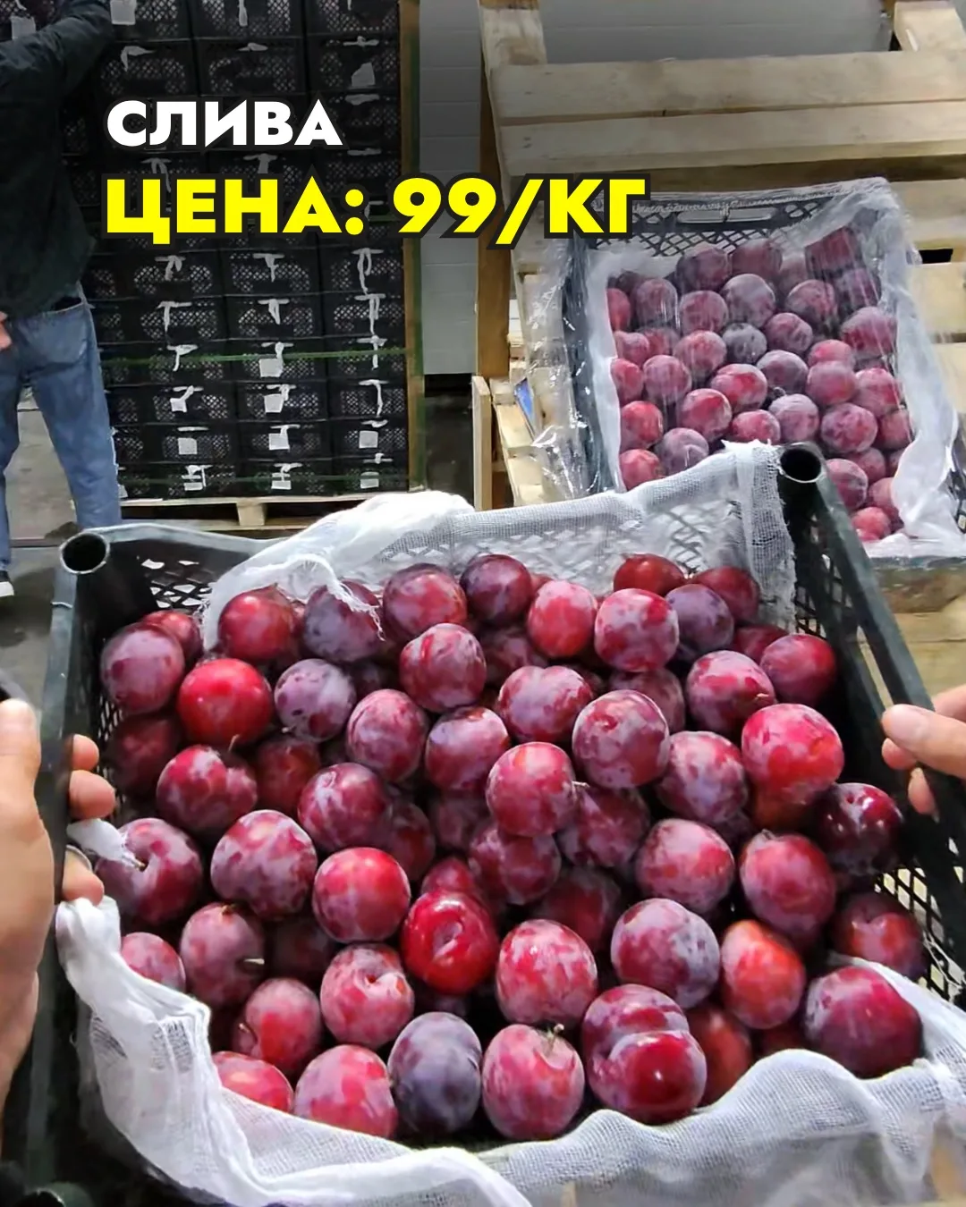 😱 СЛИВА 99 пай/кг 🔥 САРАНСК, УСПЕЙТЕ ЗАКАЗАТЬ🔥
