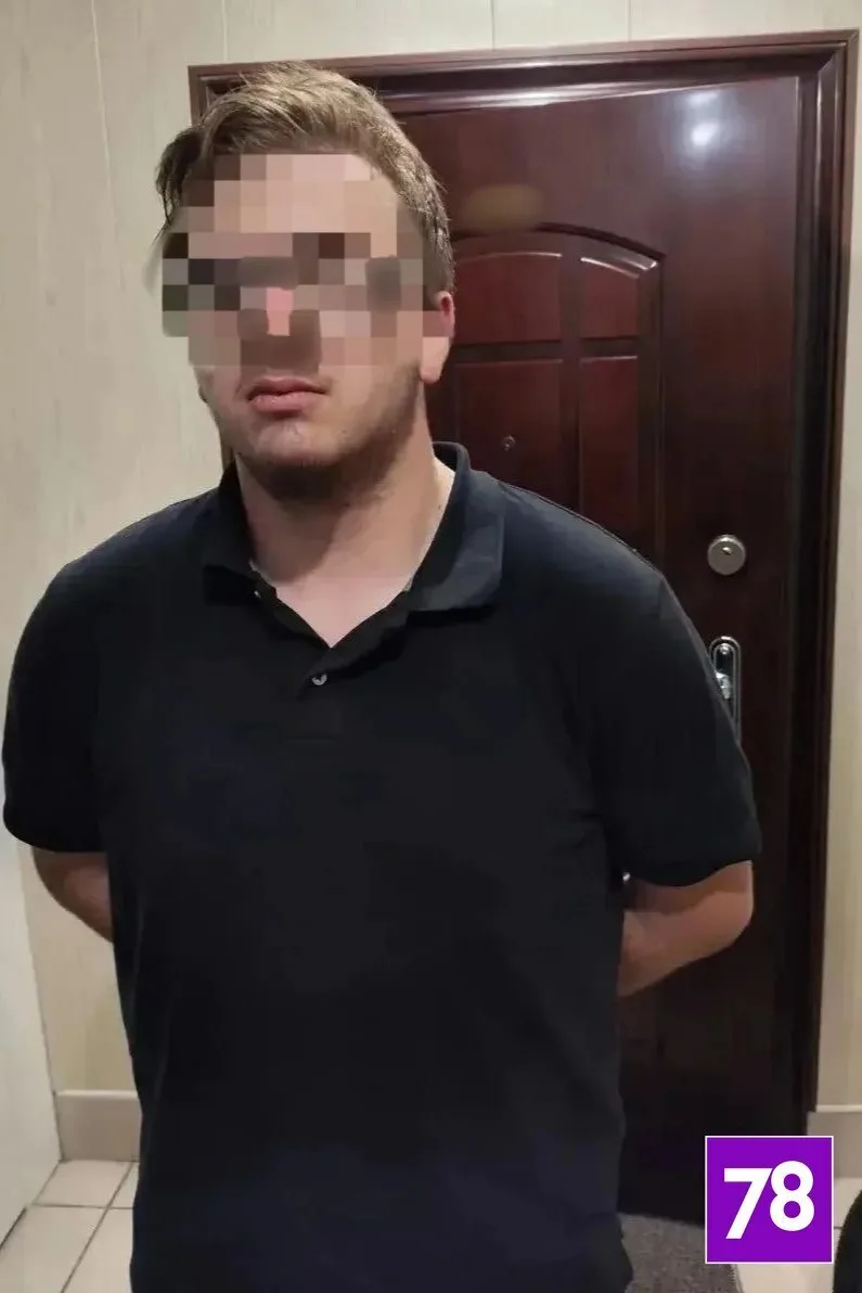 Молодого жителя Ленобласти задержали после попытки вскрыть сейф в квартире родителей своей девушки

