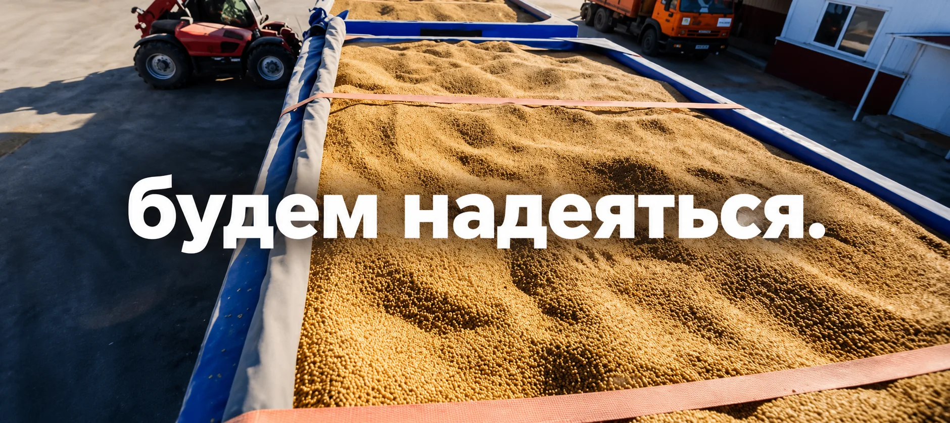 КУБАНЬ ДАСТ 5 МЛРД НА ЗЕРНО, НО ДЕНЬГИ ДОЙДУТ ДО ФЕРМЕРОВ ТОЛЬКО В НОЯБРЕ