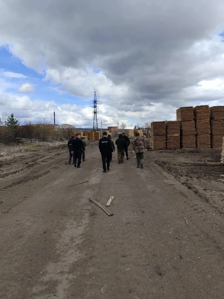 Полицией пресечено более 170 нарушений миграционного законодательства

В этом году почти на 20% от