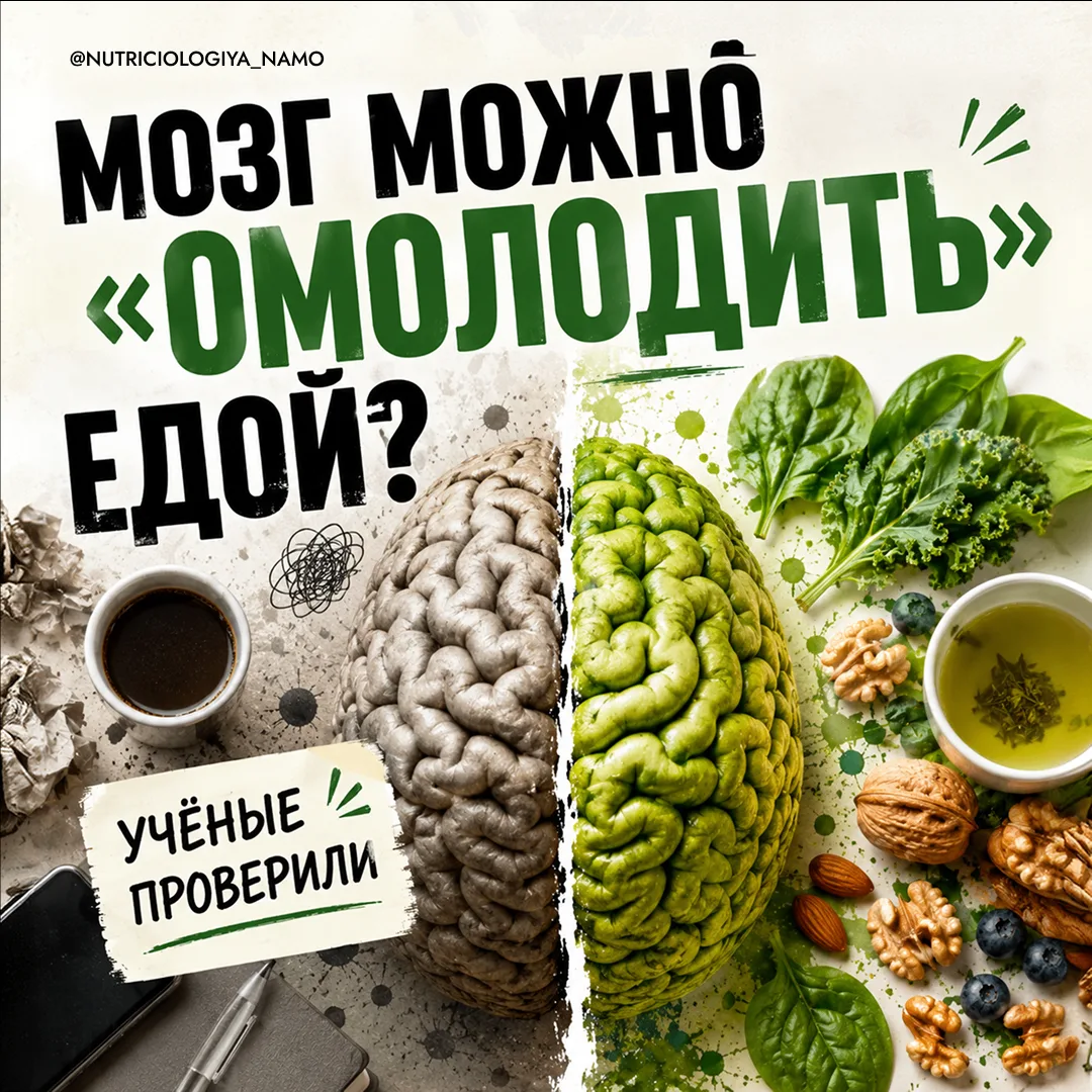 МОЗГ МОЖНО «ОМОЛОДИТЬ» едой? 🥬
