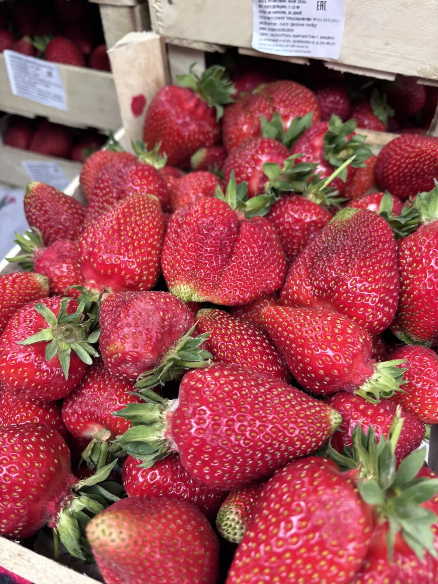 12 июня поступление свежей клубники 🍓

Крупная-1500 (Иссык-Куль)
Ежевика-1800
Сорт миценова (слаще 