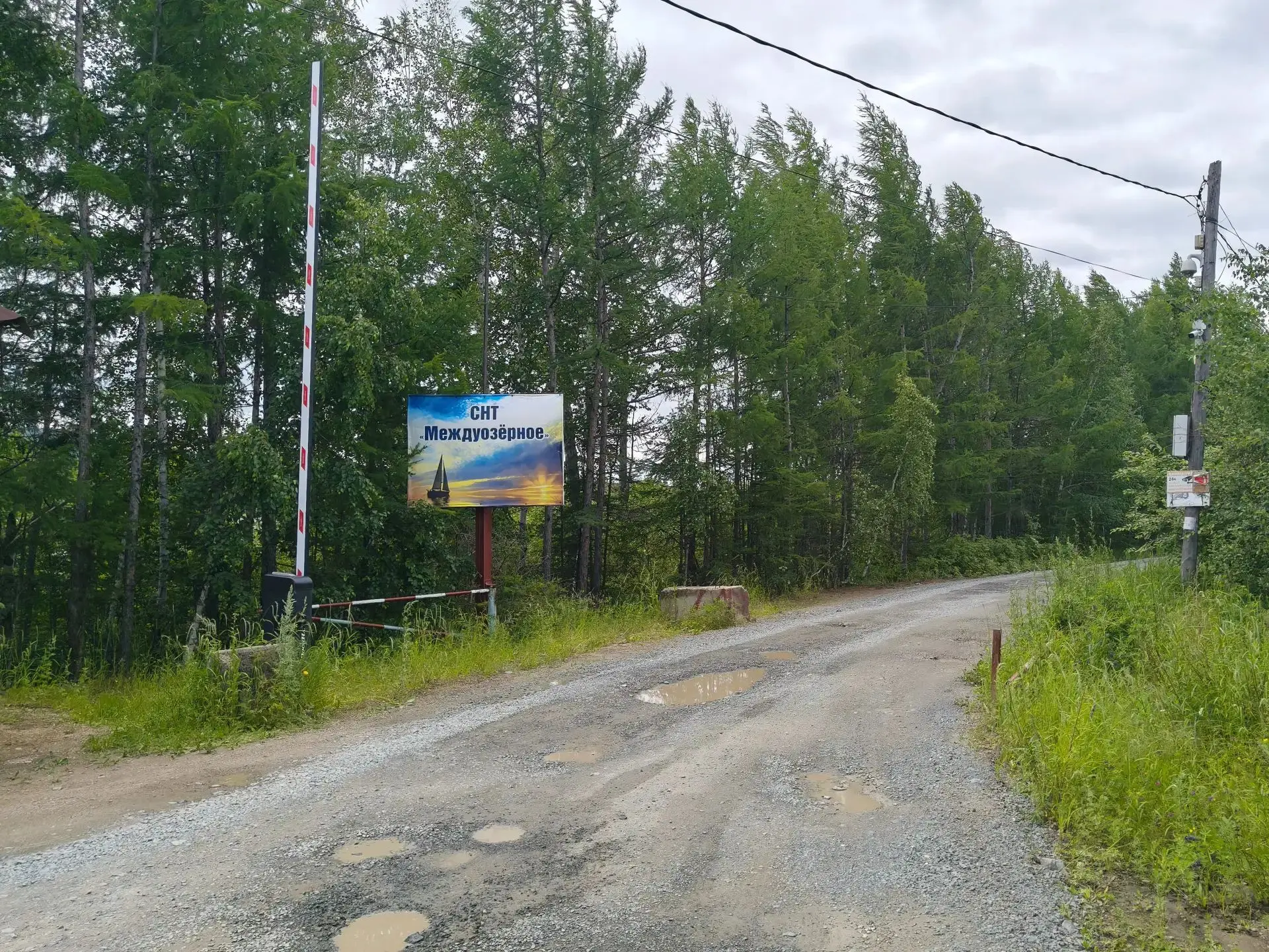 Прокуратура Читинского района после проверок публикаций потребовала от дачного товарище...