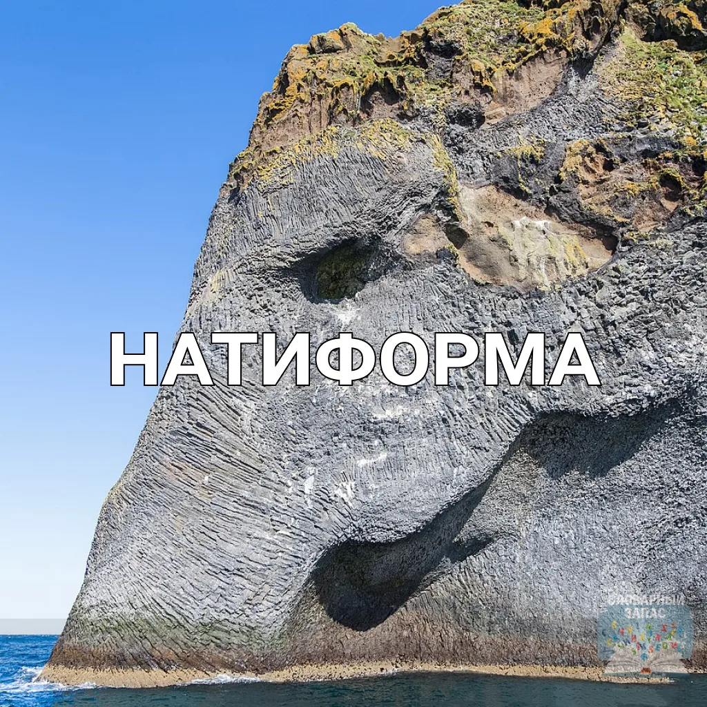 Натифо́рма (от лат. nati- — «рождённый» и forma — «форма») — это объект, в котором природные формы с
