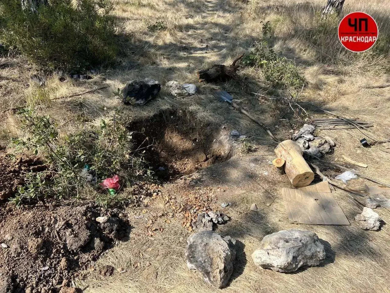 🪓 Приезжий из Сочи зарубил топором мужчину в лесу под Севастополем