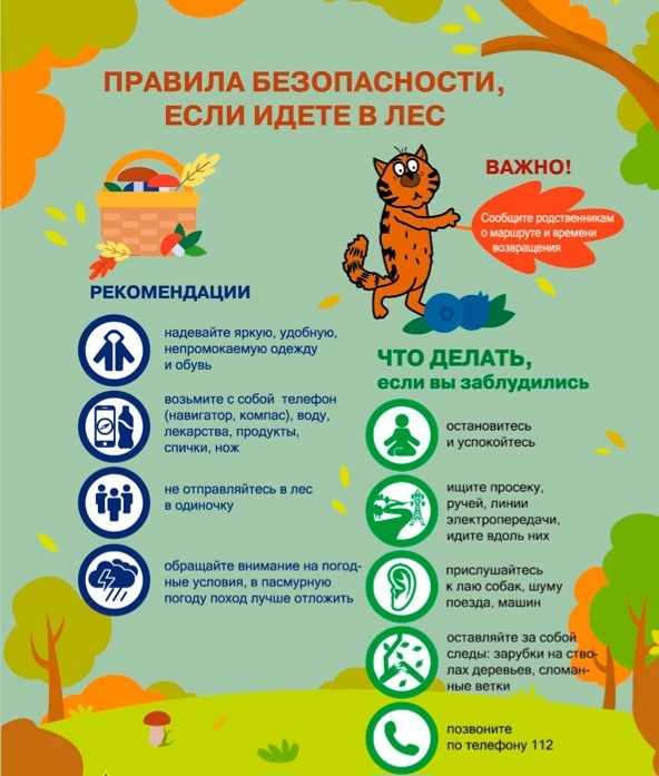 Лесной SOS: памятка для родителей 🌲🧭

До похода (готовимся!)

- Одеваемся ярко! Никакого камуфляжа