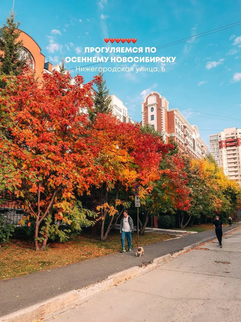 🍁 Прогуляемся по осеннему Новосибирску