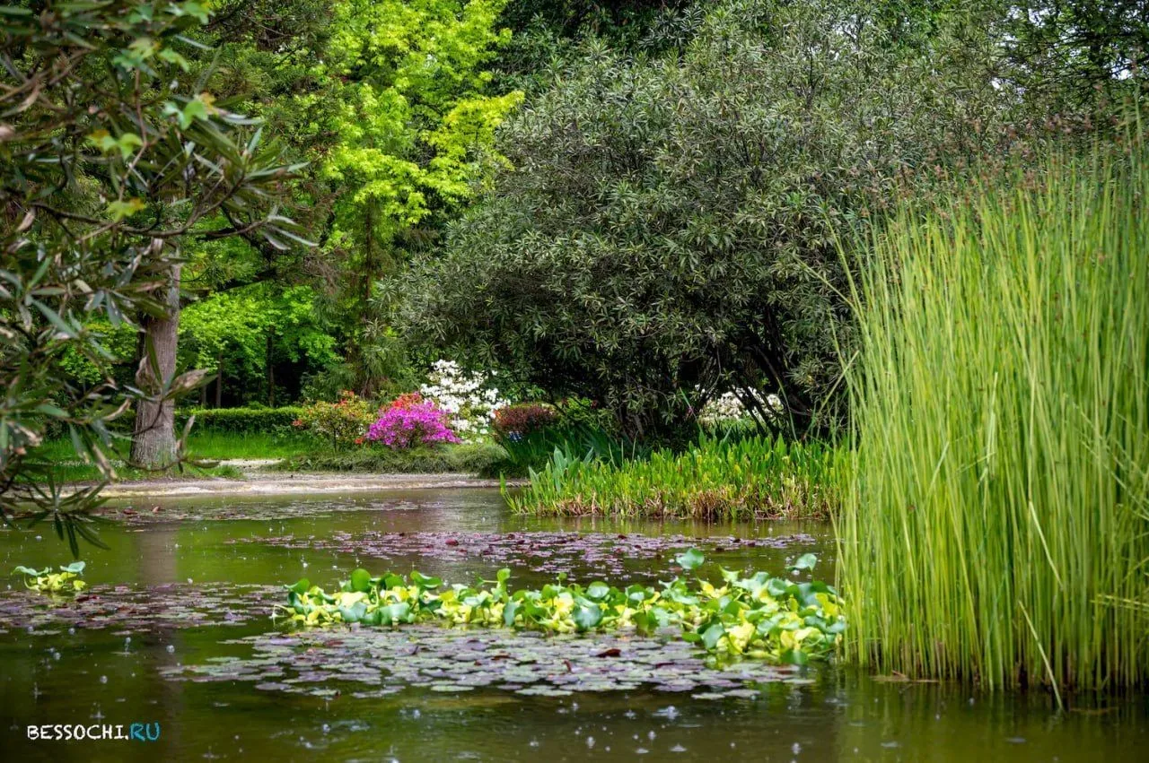 🌳 Парк культуры и отдыха «Южные Культуры»