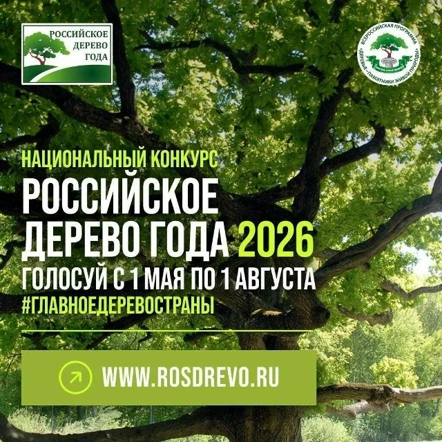 🌳 Камчатцев приглашают проголосовать за тополь на Карымшине в конкурсе «Российское дерево года»

Пр