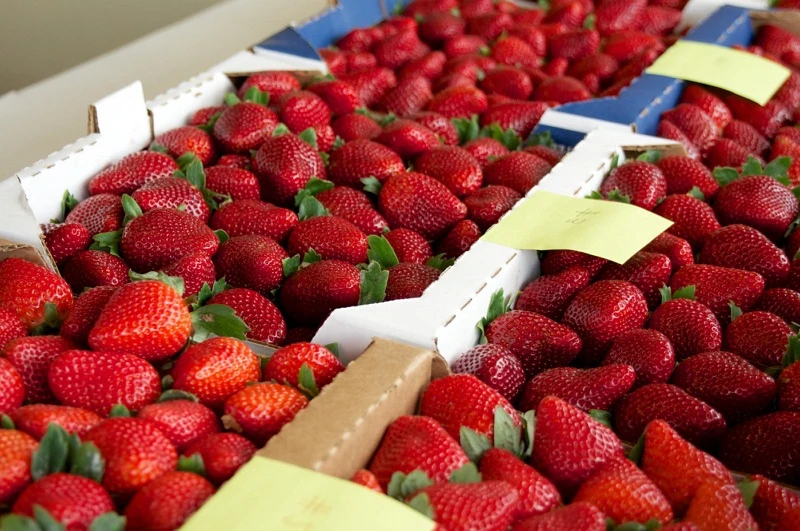 🍓В Приморье 20 июня состоится масштабный праздник «Фестиваль клубники»  В этом праздник пройдет уже 