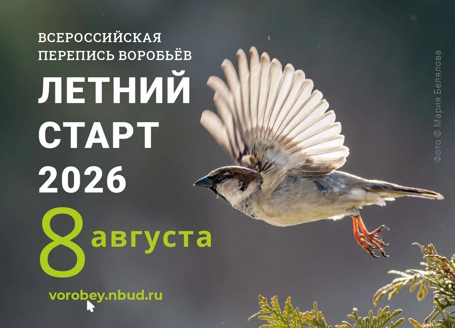 Участие ребят из объединений «Экоазбука» и «Эковолонтер» во Всероссийской летней перепи...