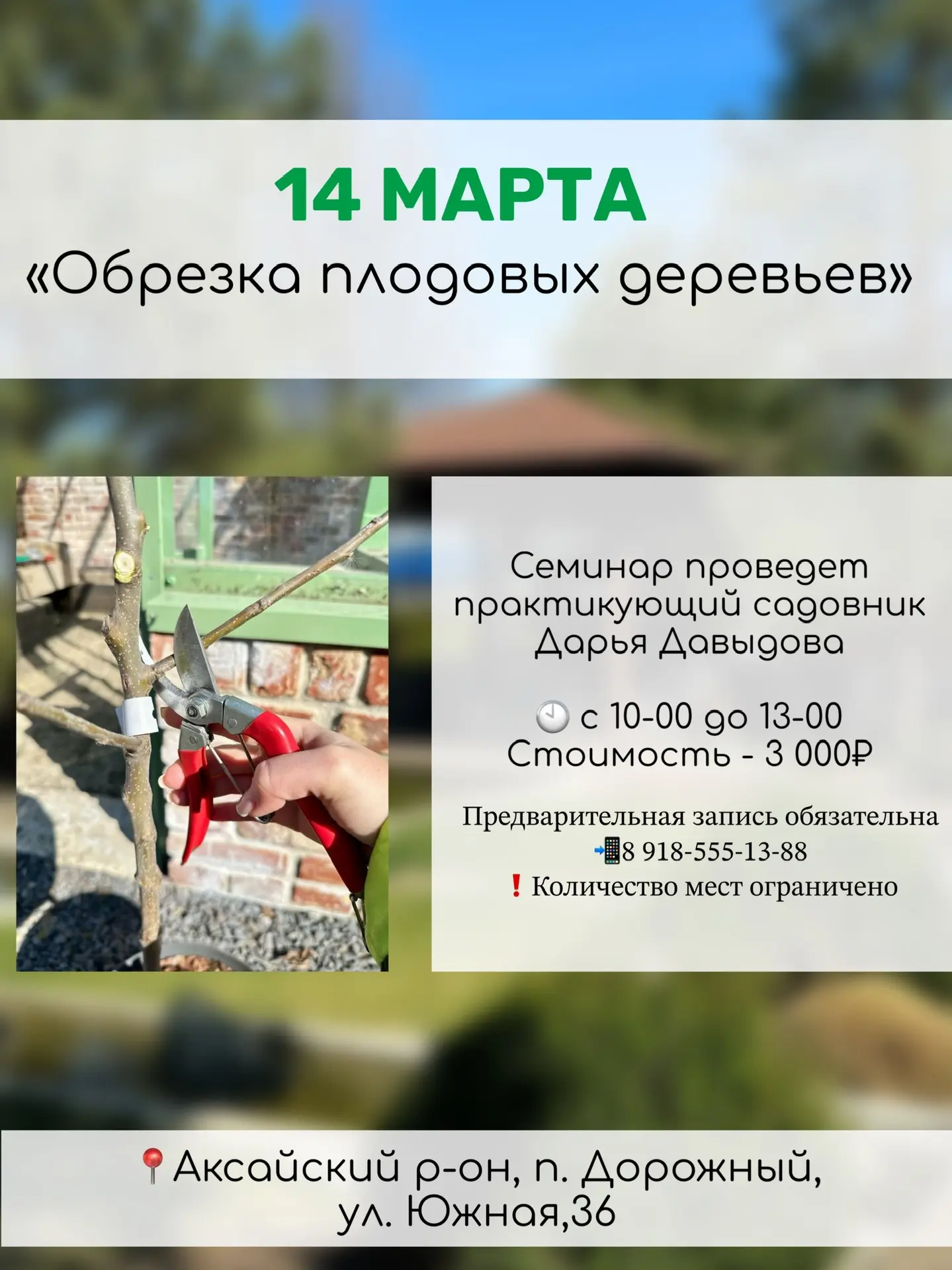 Семинары в садовом центре РОСТОВСАД  Открываем весну полезным семинаром  🌱 ОБРЕЗКА ПЛОДОВЫХ ДЕРЕВЬЕВ