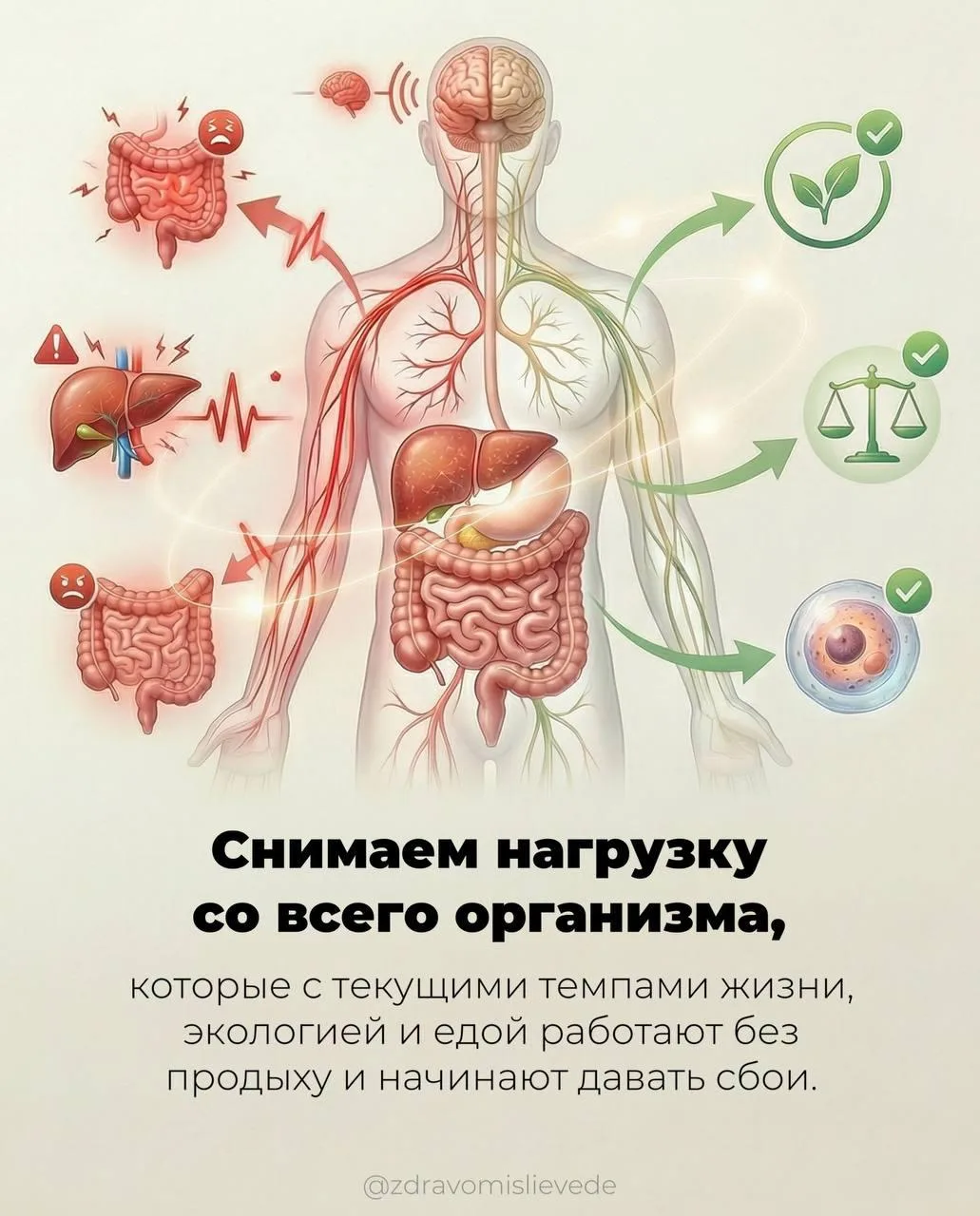 8 шагов по коррекции микробиома  Факт: ни одного дня мы бы не смогли прожить без микроорганизмов. Он
