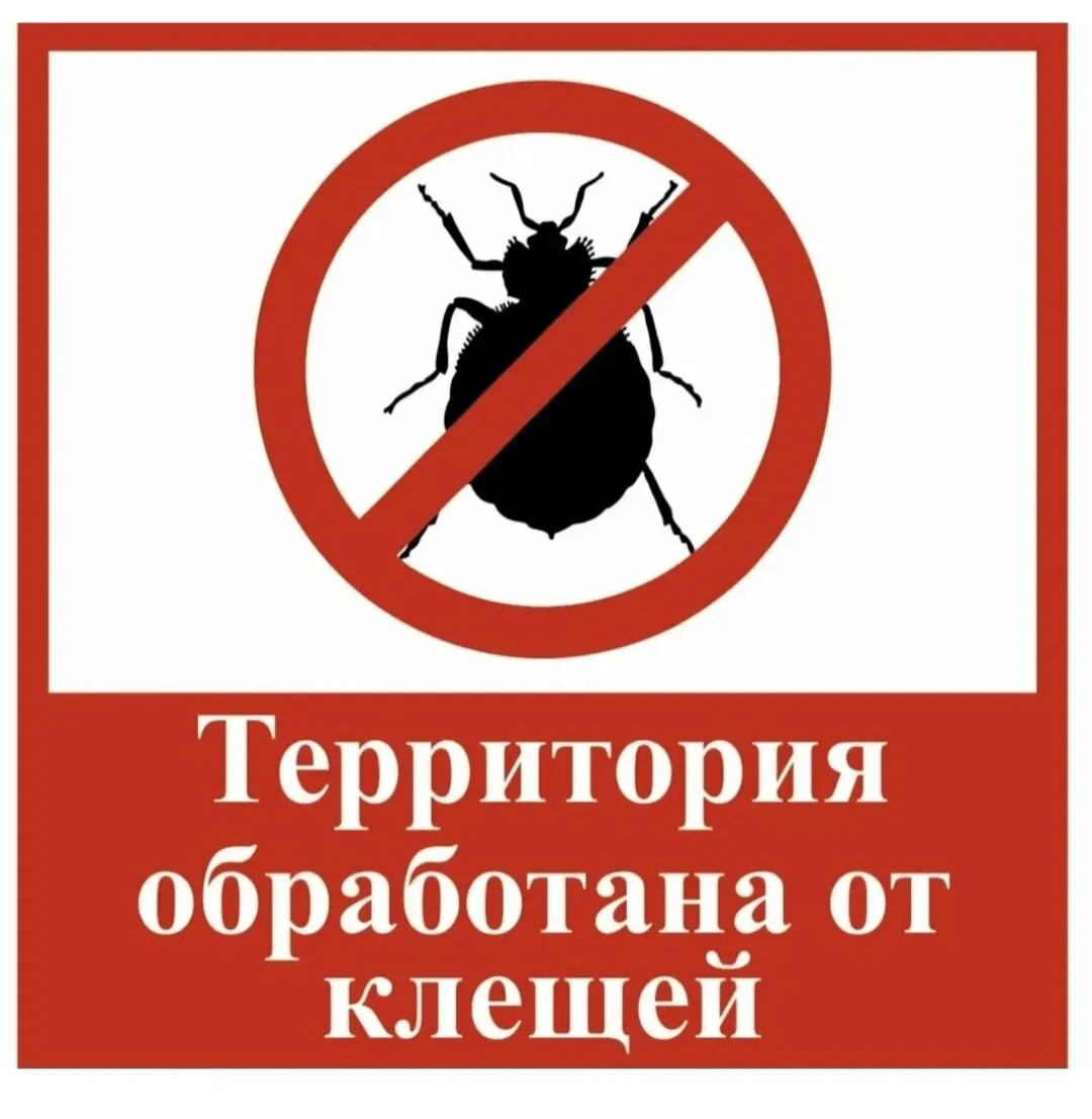 !! Объявление об акарицидной обработке.                                                ...