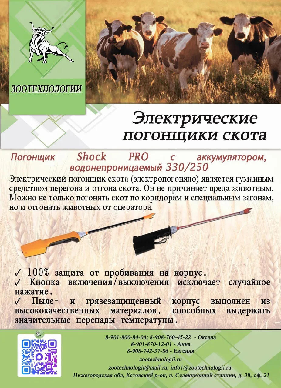 🐂 Управляйте быком без риска: электро-погонщик Shock  — безопасно, гуманно, надёжно