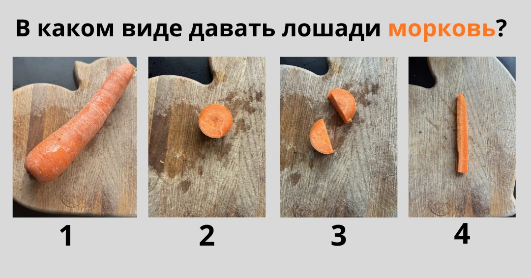 Морковный тест 🥕