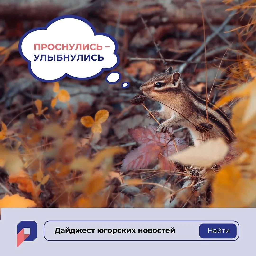 Будьте в курсе событий! 👀