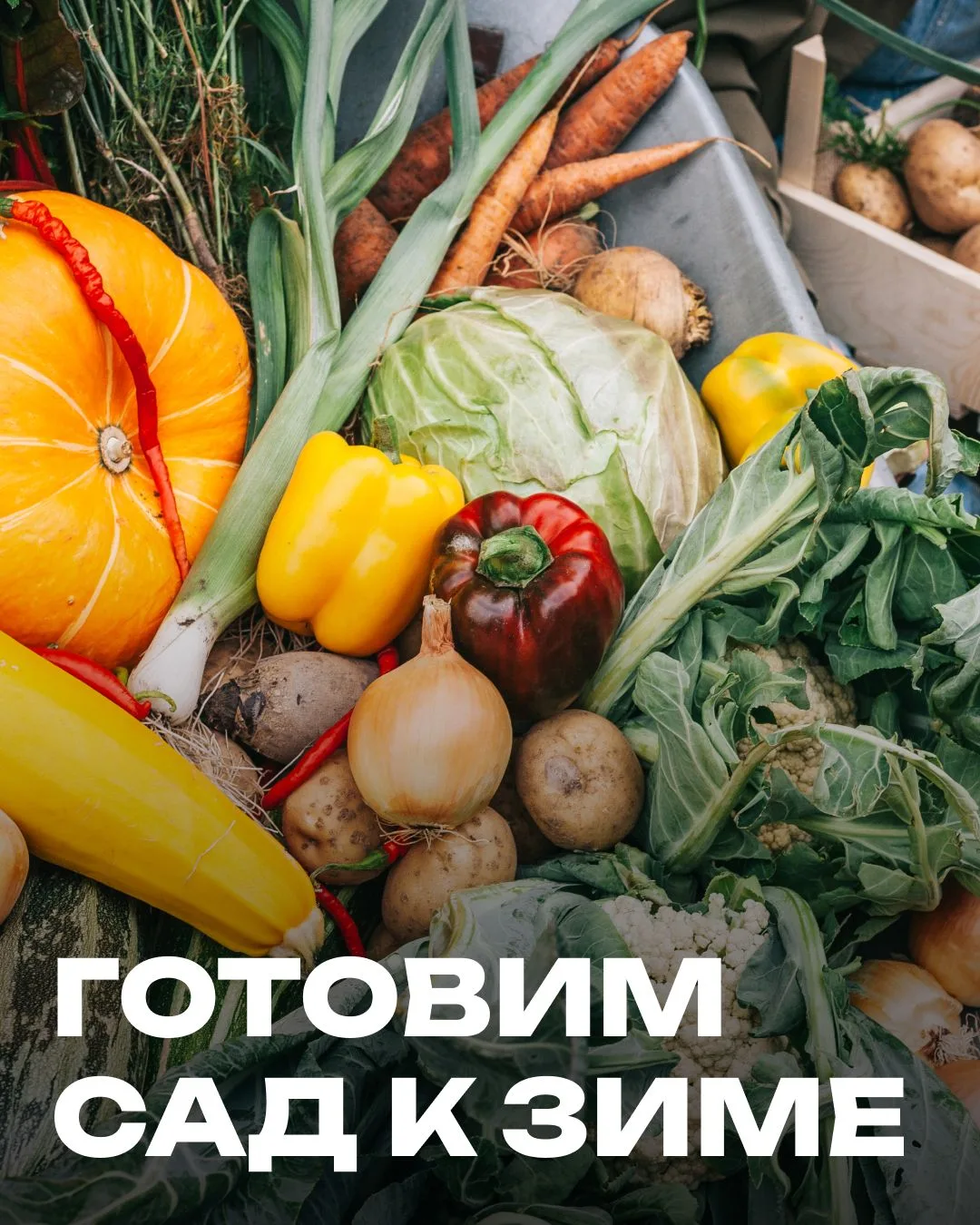 Осень — важное время для дачника.