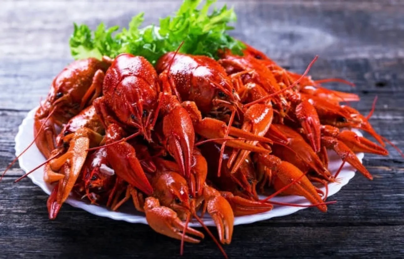 🦞 Живые раки!!! 🦞
