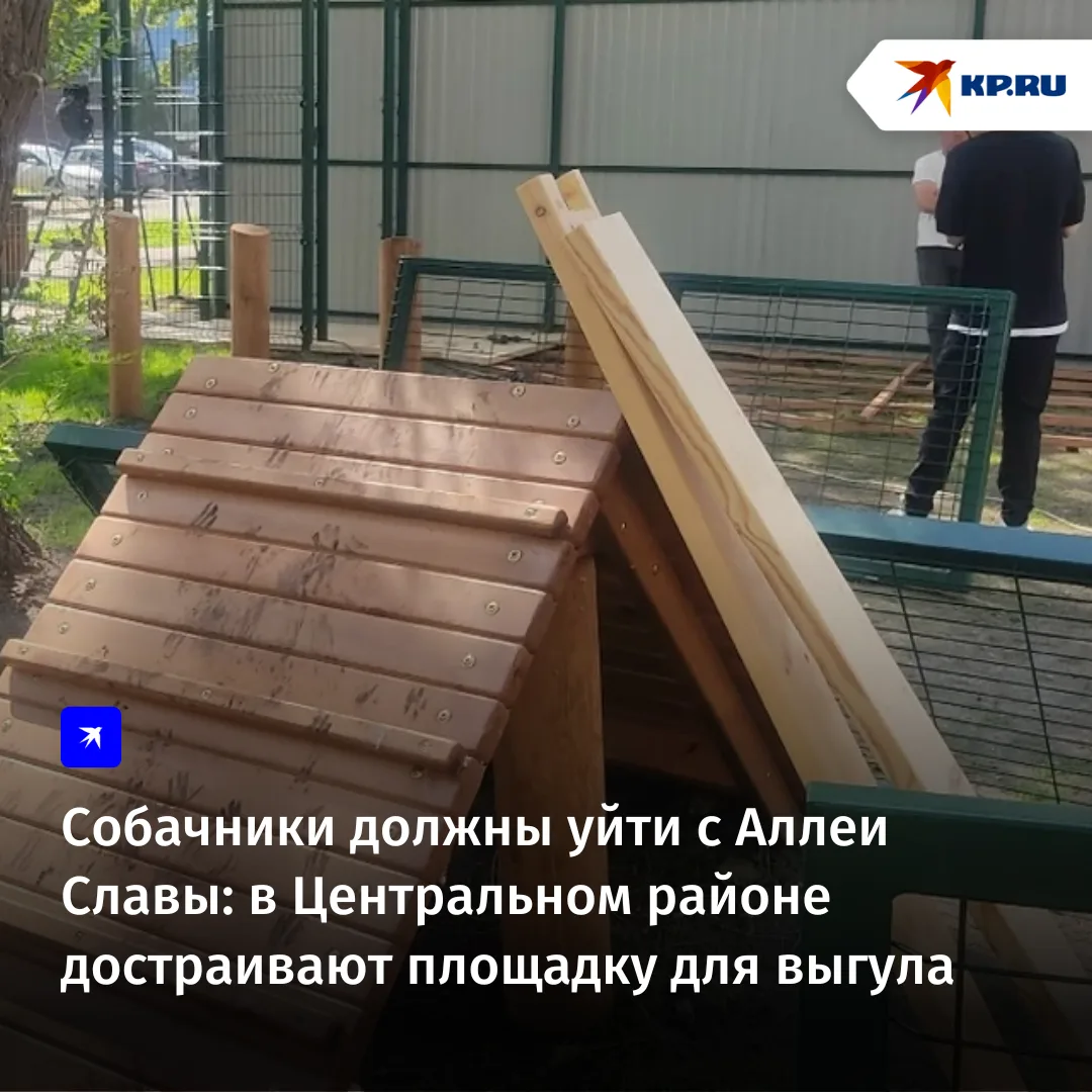 Собачникам, которые выгуливают своих питомцев на Аллее Славы, предлагают перейти на специальную площ