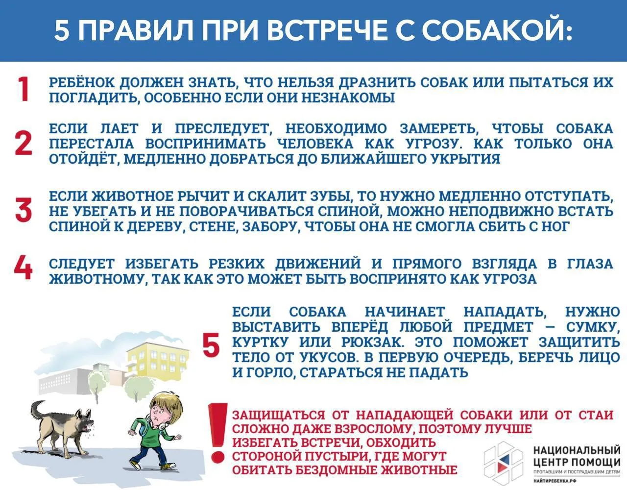 🚨 В Перми собака напала на ребёнка