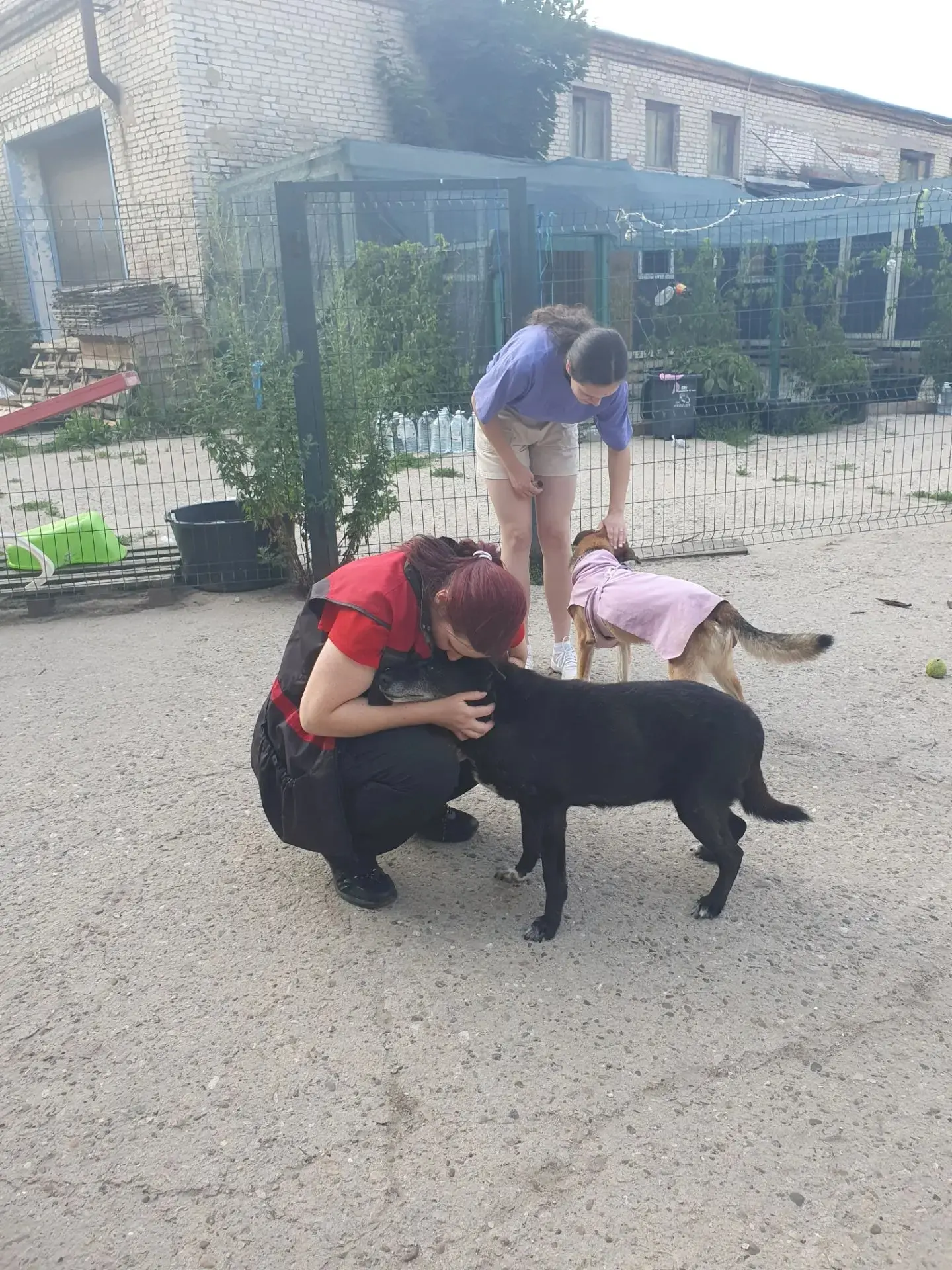 В гостях у хвостиков 🐶