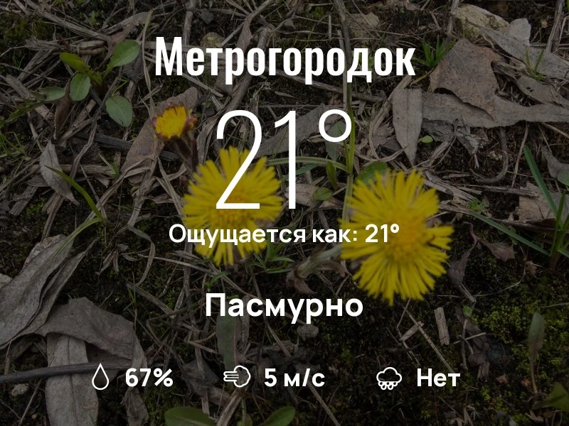 Что с погодой в Метрогородке?
