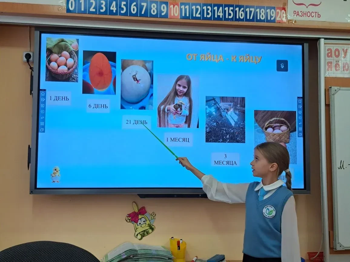 #гордимся   20 февраля в начальной школе прошел школьный этап конкурса "Я - исследователь".   Ученик