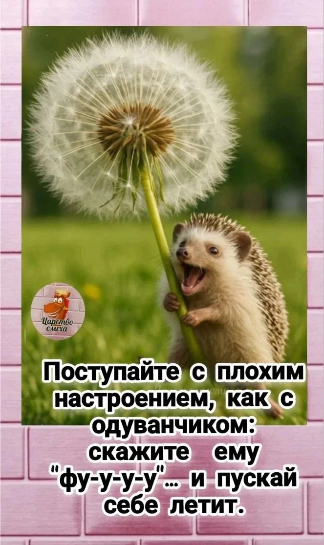🌿🌺🌿Чудесной Погоды, Добрых новостей и Улетного вам Настроения!